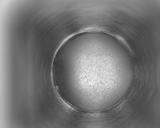 X0000058121288200510071929