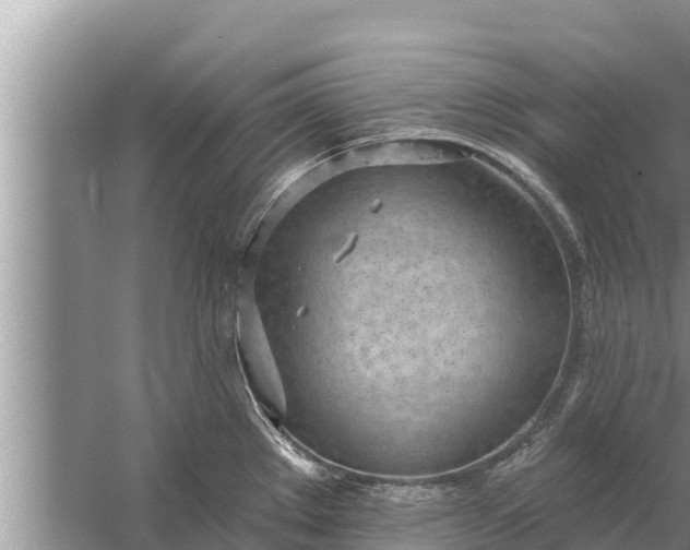 X0000058121289200510071929