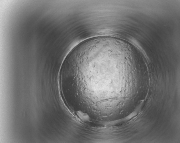 X0000058121291200510071929