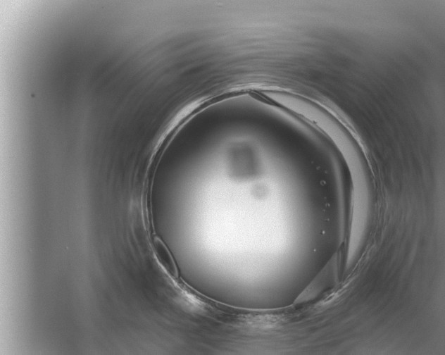 X0000058121293200510071929