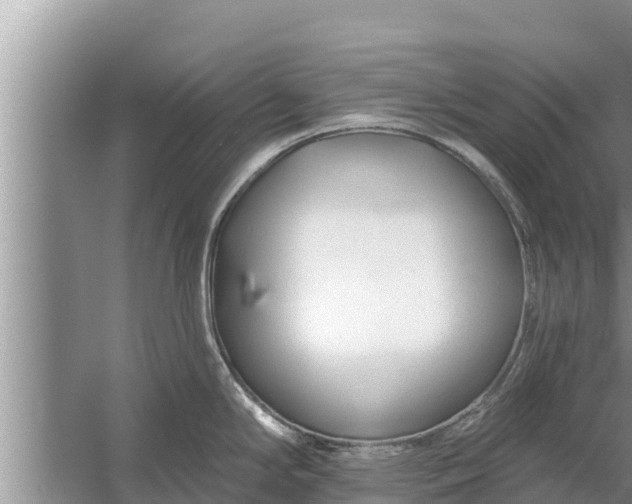 X0000058121294200510071929