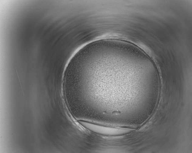 X0000058121296200510071929