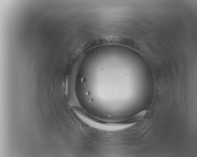 X0000058121298200510071928