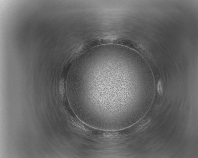 X0000058121299200510071928