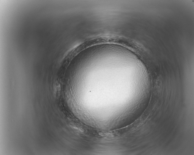 X0000058121302200510071929