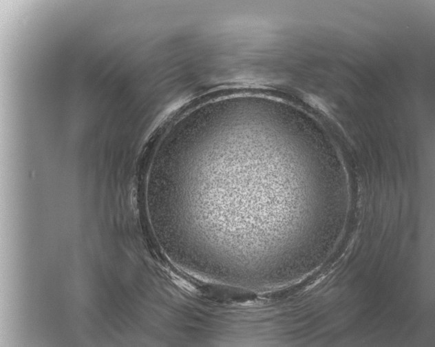 X0000058121307200510071929