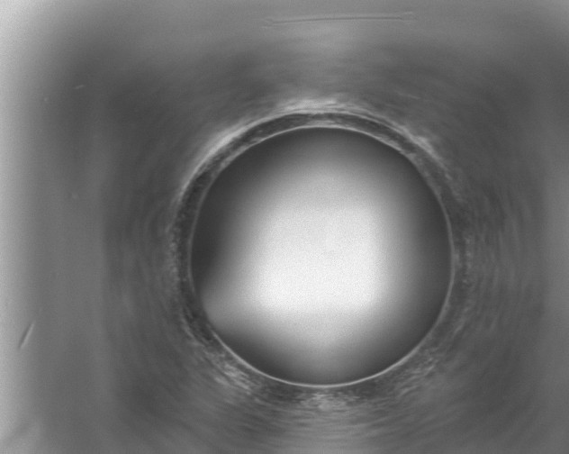 X0000058121311200510071929