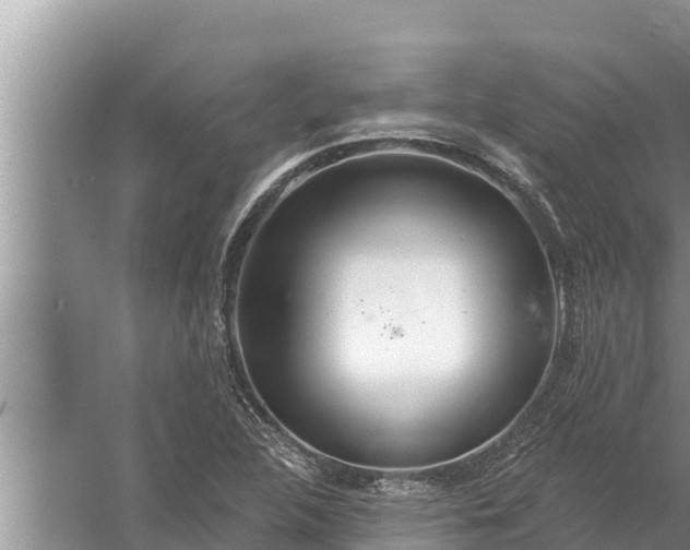 X0000058121312200510071929