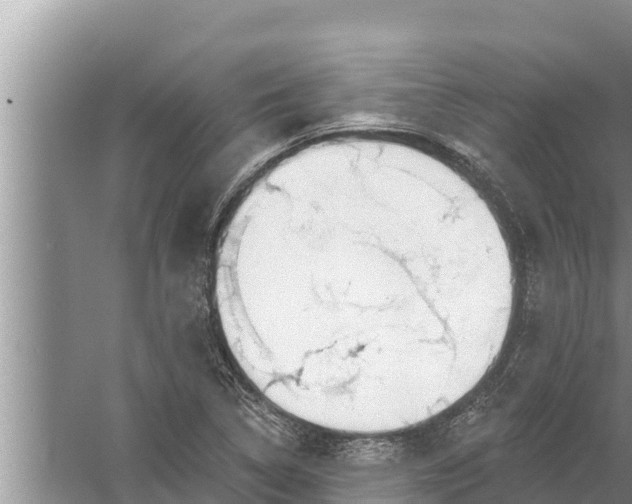 X0000058121314200510071929