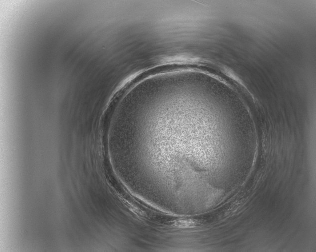 X0000058121315200510071929