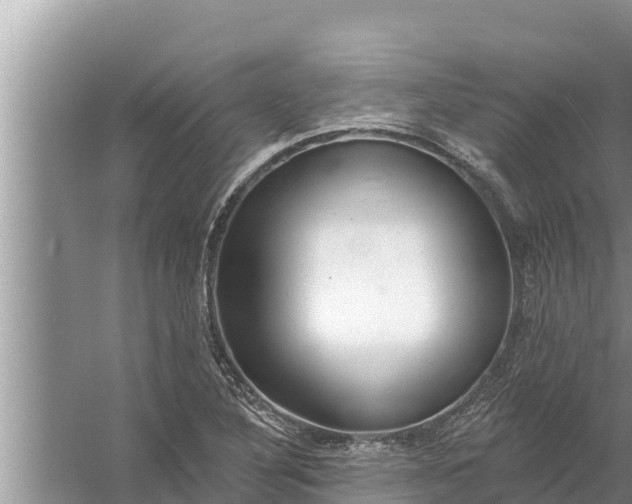 X0000058121316200510071929