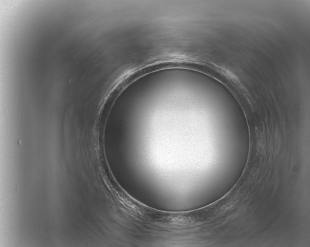 X0000058121318200510071929