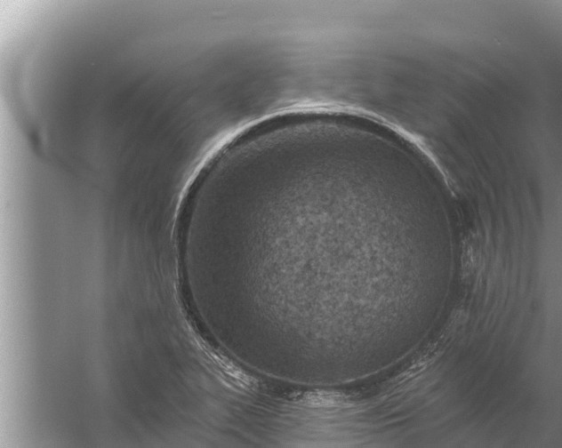 X0000058121319200510071929