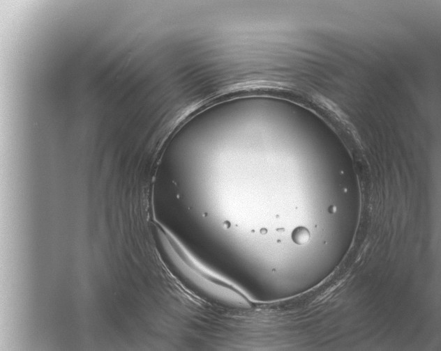 X0000058121321200510071929