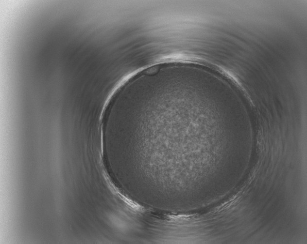 X0000058121323200510071929