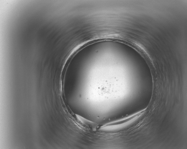 X0000058121324200510071929