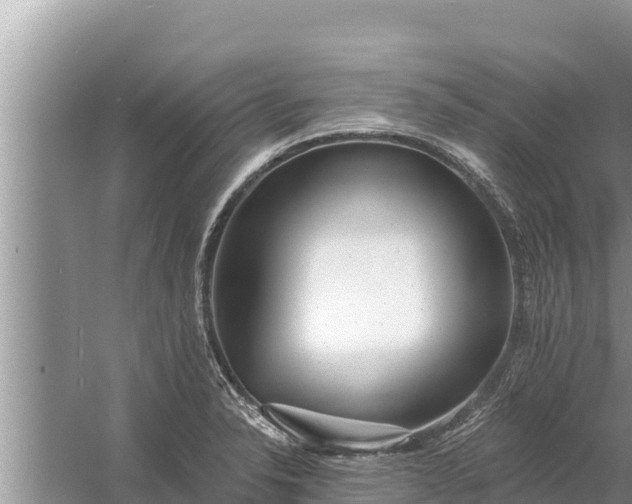 X0000058121326200510071929