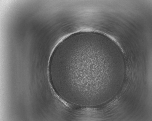 X0000058121327200510071929