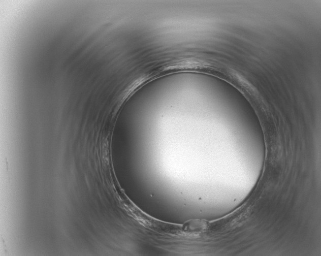 X0000058121329200510071929