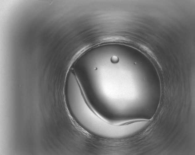 X0000058121330200510071929