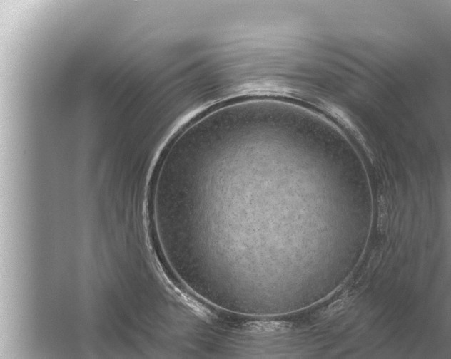 X0000058121331200510071929