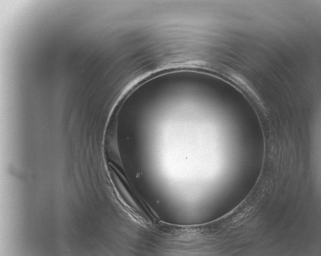 X0000058121332200510071929