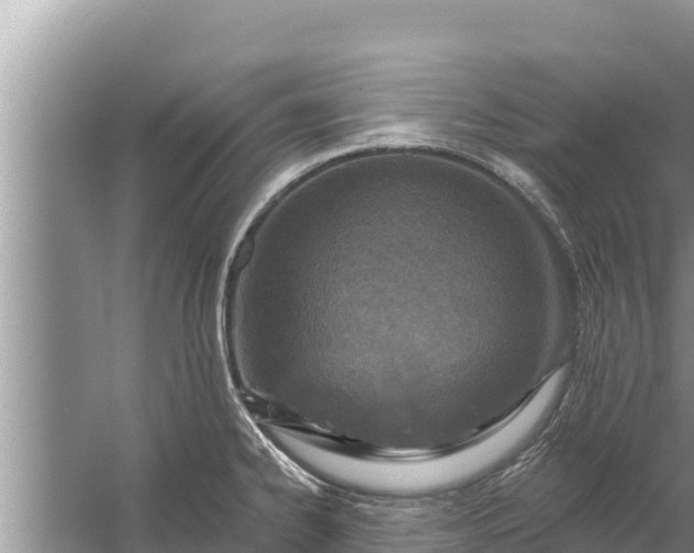 X0000058121334200510071929