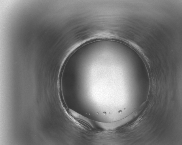 X0000058121335200510071929