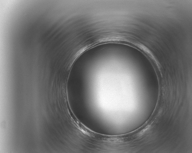 X0000058121337200510071929