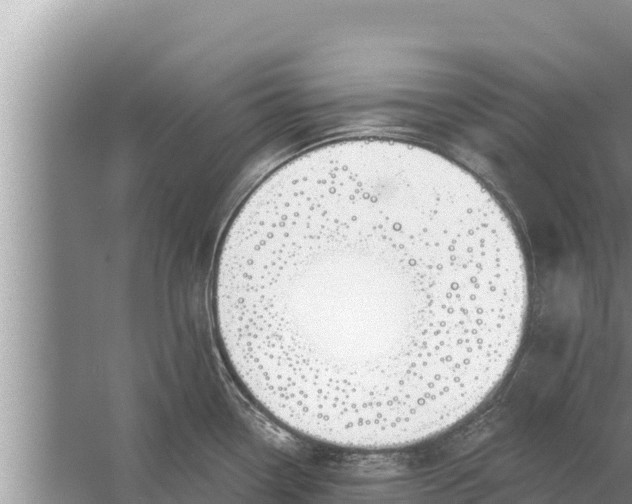 X0000058121338200510071929