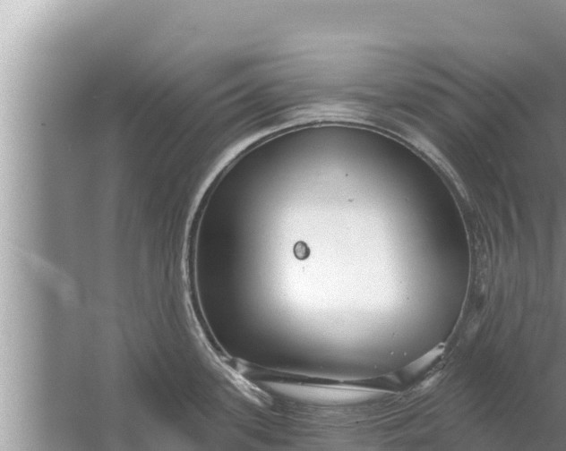 X0000058121339200510071929