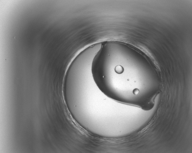 X0000058121340200510071929