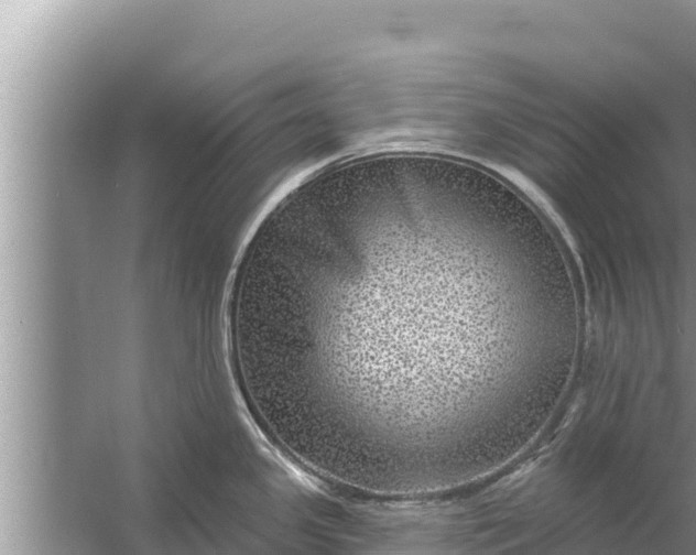 X0000058121341200510071929