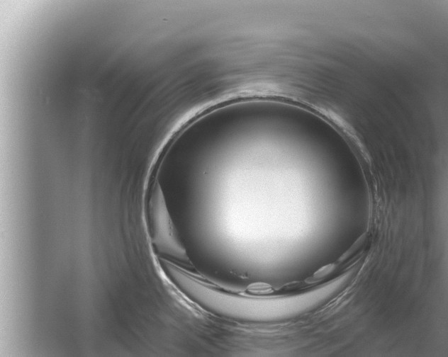 X0000058121342200510071929