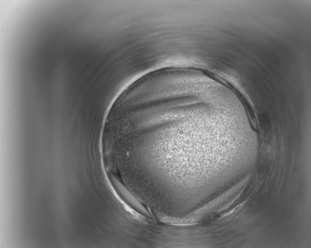 X0000058121343200510071929