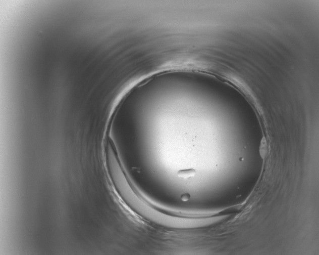 X0000058121344200510071929