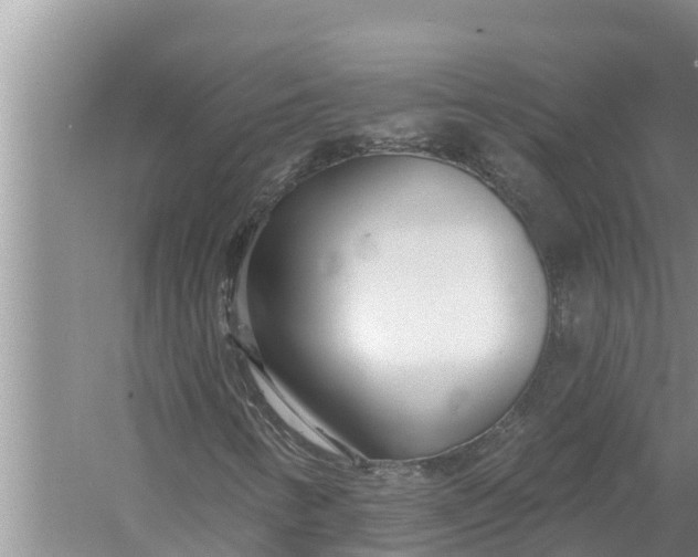 X0000058121346200510071928