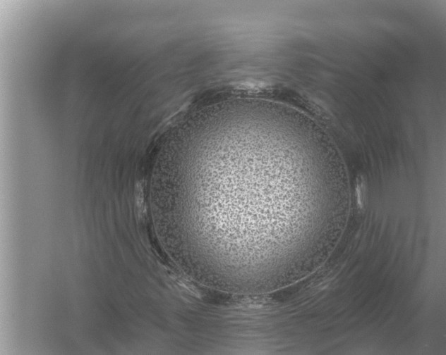 X0000058121347200510071928