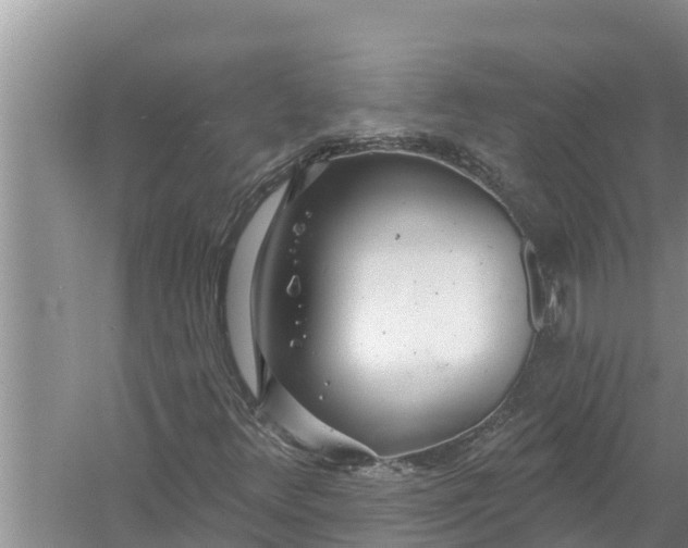 X0000058121348200510071928