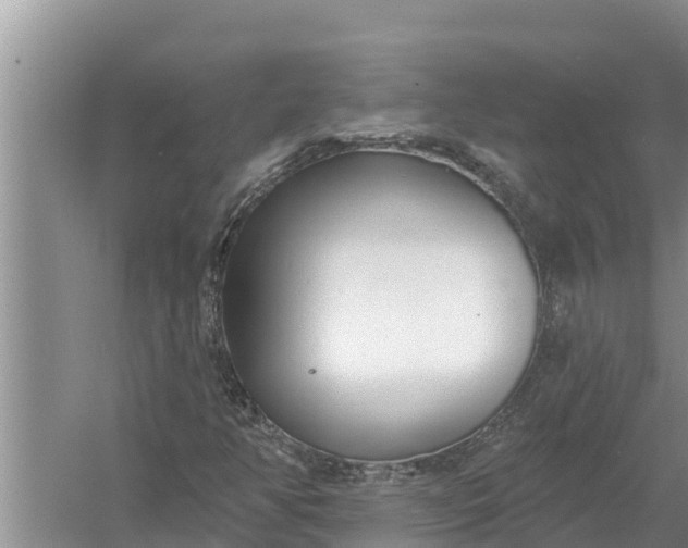 X0000058121350200510071928