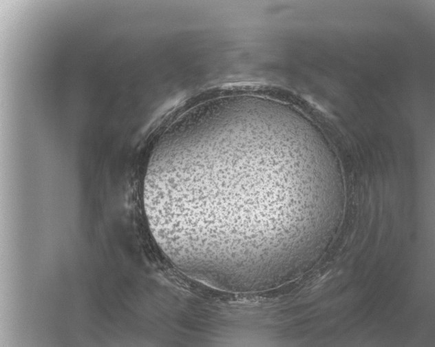 X0000058121351200510071928