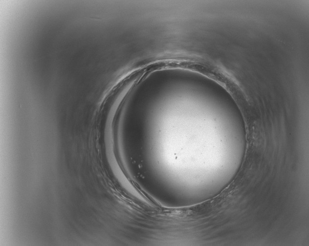 X0000058121352200510071928