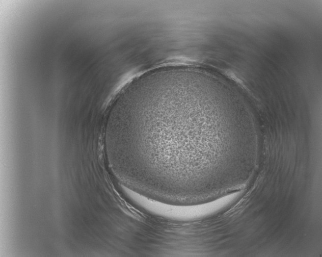 X0000058121355200510071928