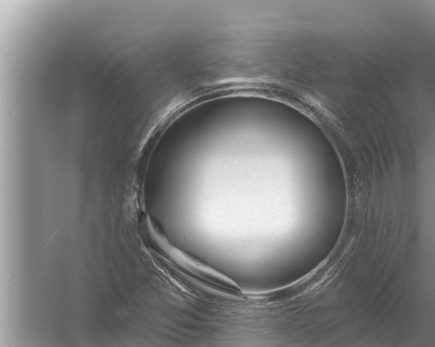 X0000058121357200510071928