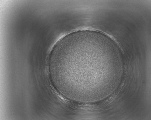 X0000058121359200510071928