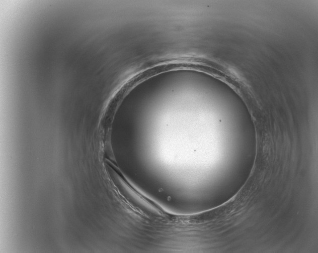 X0000058121360200510071928