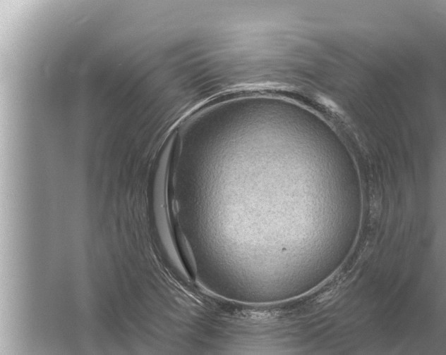 X0000058121361200510071928