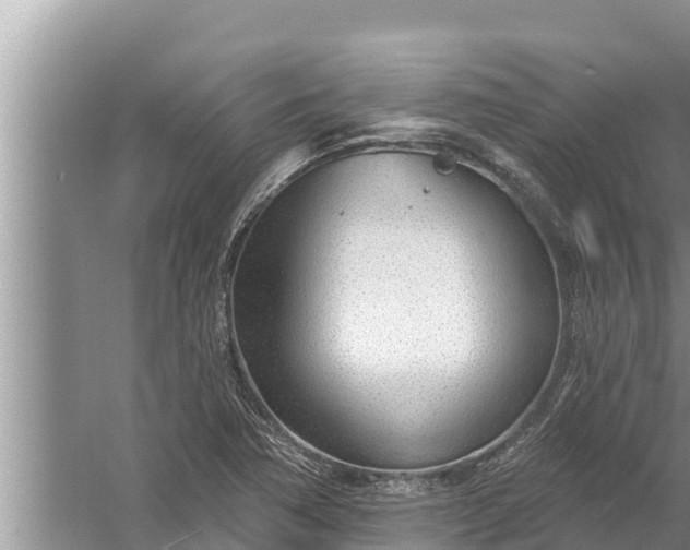 X0000058121362200510071928