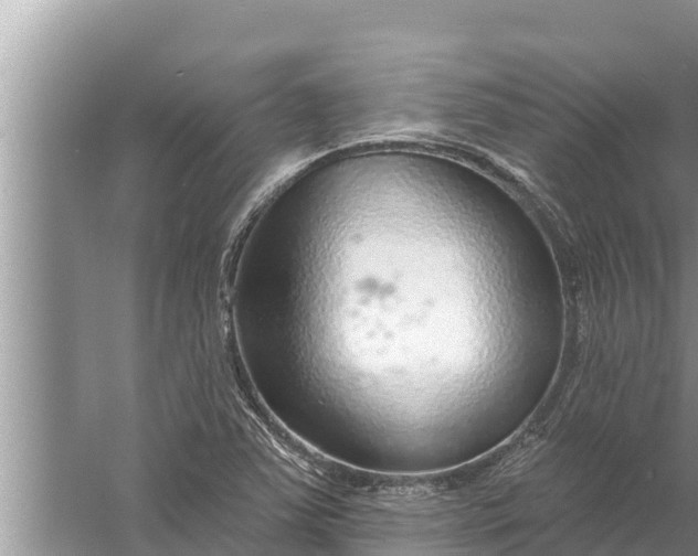 X0000058121363200510071928