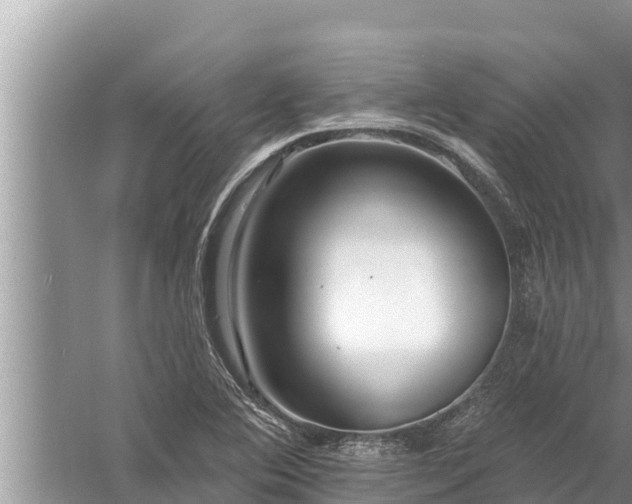 X0000058121364200510071928